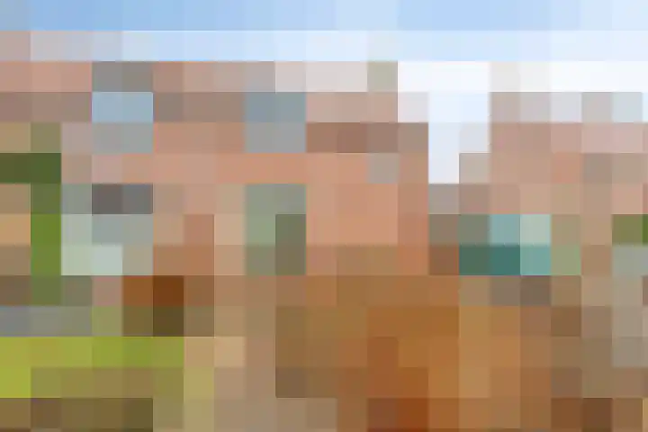 Wolddijk 143 Groningen thumbnail 6