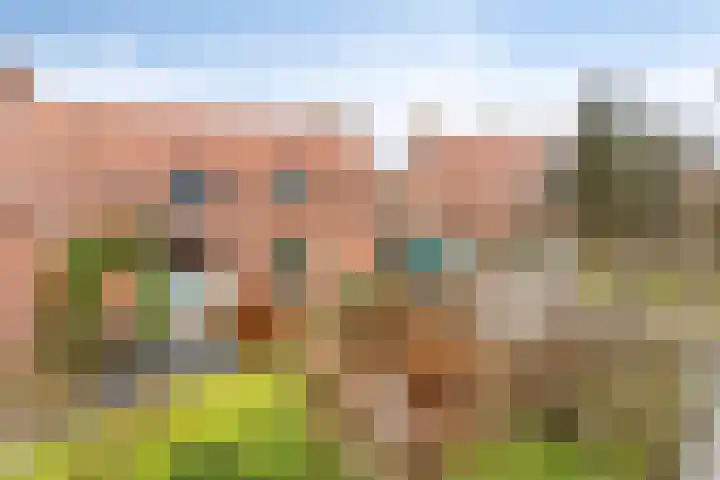 Wolddijk 143 Groningen thumbnail 8