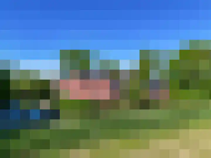 Wolddijk 71 Noordwolde thumbnail 5
