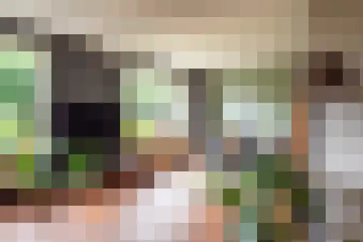 Wolddijk 72 Ruinerwold thumbnail 12