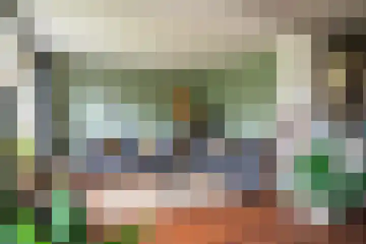 Wolddijk 72 Ruinerwold thumbnail 13