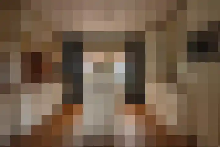 Wolddijk 72 Ruinerwold thumbnail 16