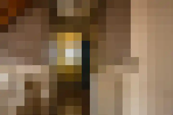 Wolddijk 72 Ruinerwold thumbnail 18
