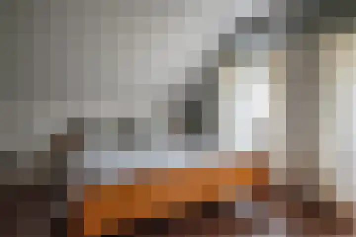 Wolddijk 72 Ruinerwold thumbnail 21