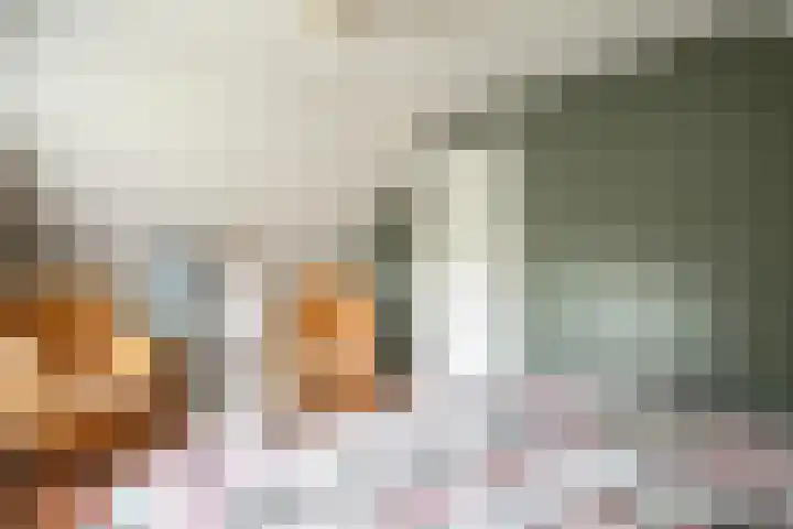 Wolddijk 72 Ruinerwold thumbnail 22