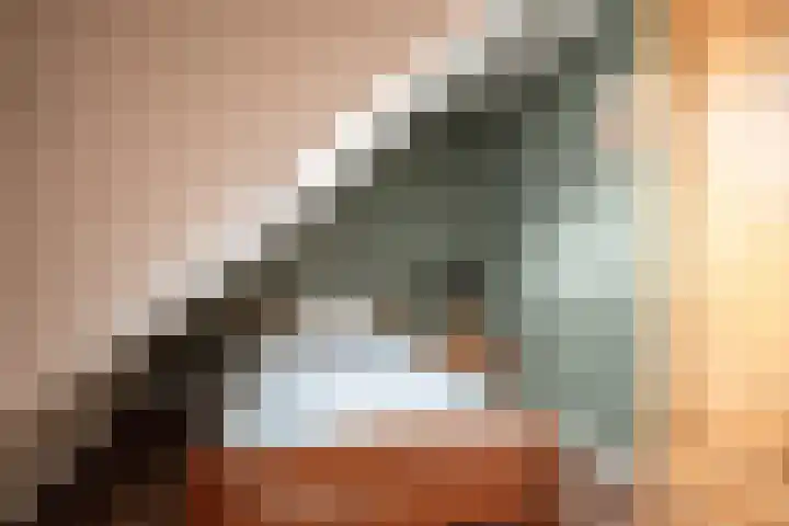 Wolddijk 72 Ruinerwold thumbnail 25