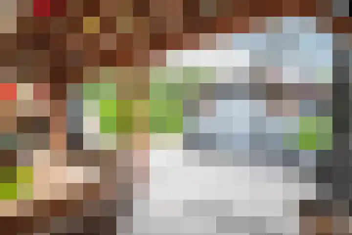 Wolddijk 72 Ruinerwold thumbnail 29