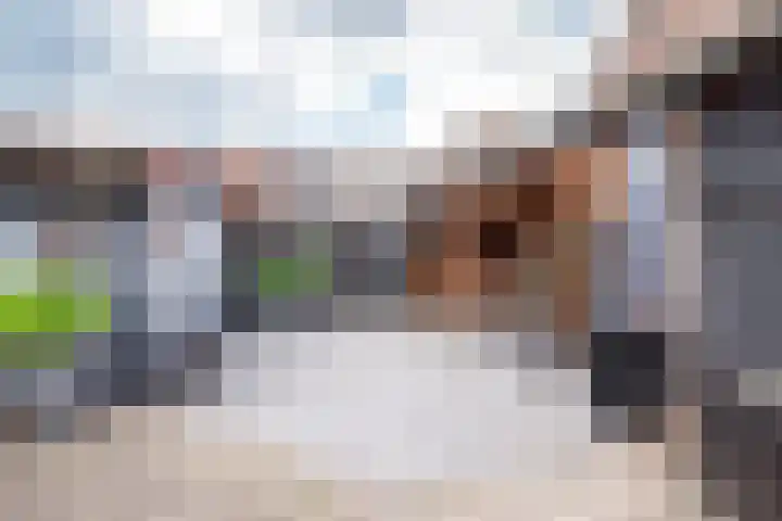 Wolddijk 72 Ruinerwold thumbnail 30