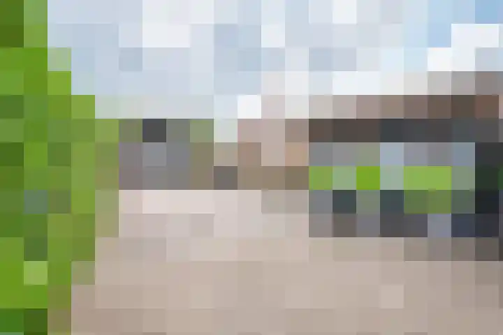 Wolddijk 72 Ruinerwold thumbnail 31