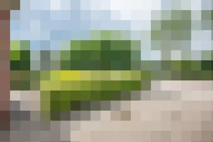 Wolddijk 72 Ruinerwold thumbnail 34