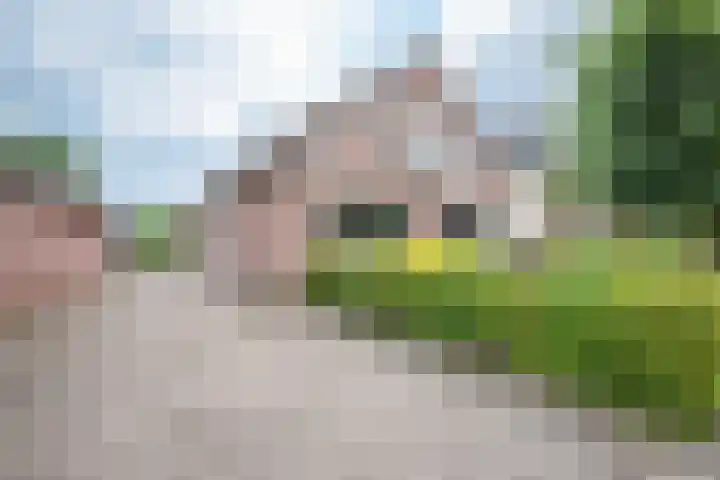 Wolddijk 72 Ruinerwold thumbnail 40