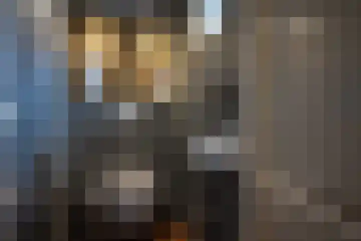 Wolddijk 72 Ruinerwold thumbnail 5