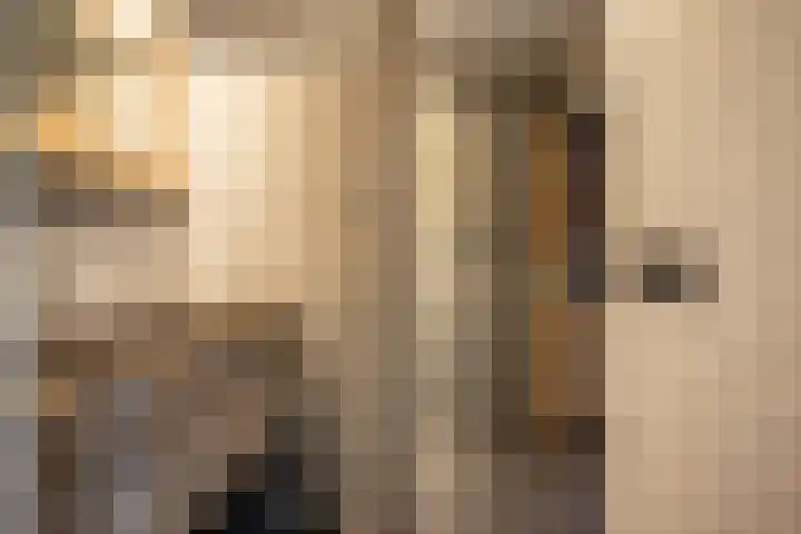 Wolddijk 72 Ruinerwold thumbnail 6