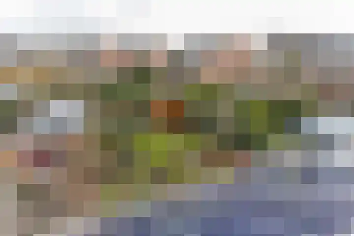 Woldenburg 20 Hoofddorp thumbnail 35