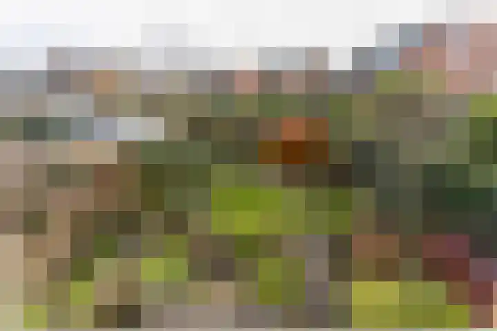 Woldenburg 20 Hoofddorp thumbnail 42