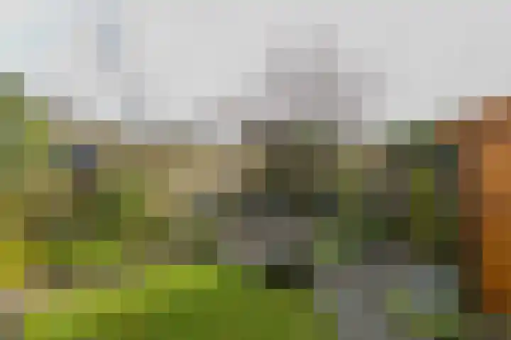Woldenburg 20 Hoofddorp thumbnail 45