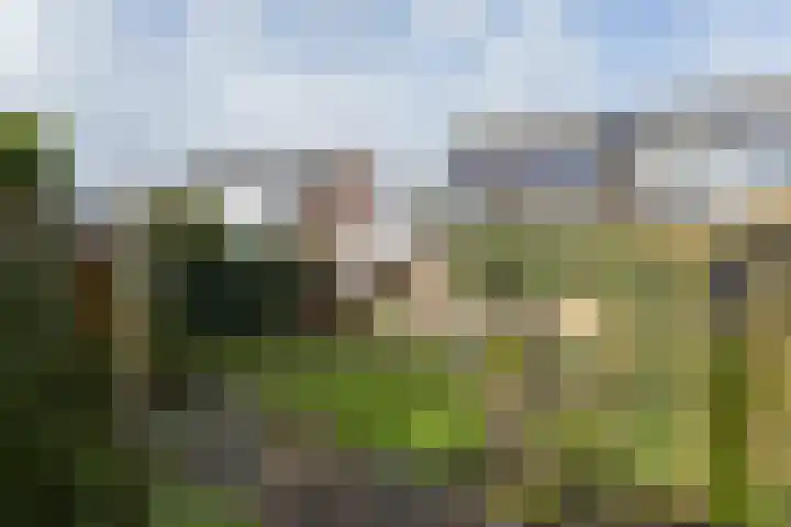 Woldenburg 20 Hoofddorp thumbnail 46