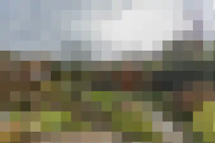 Woldenburg 20 Hoofddorp thumbnail 48