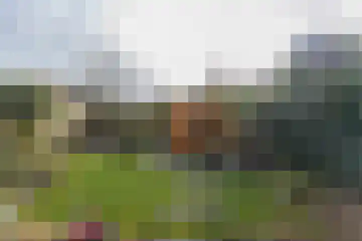 Woldenburg 20 Hoofddorp thumbnail 50
