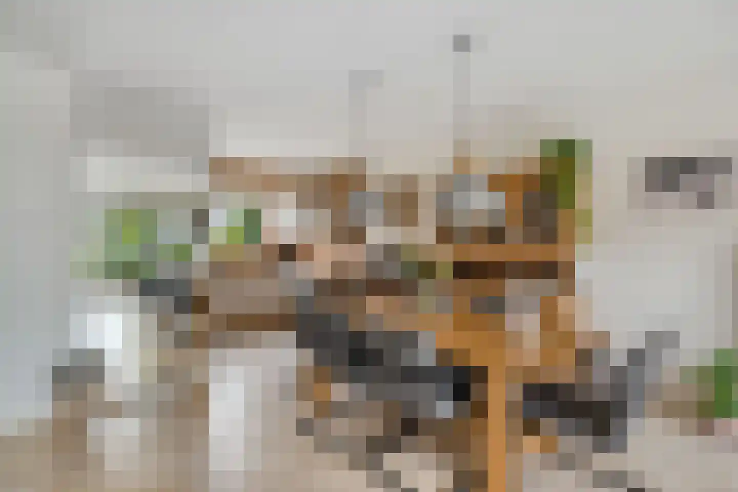Woldeveld 8 Koog aan de Zaan thumbnail 12