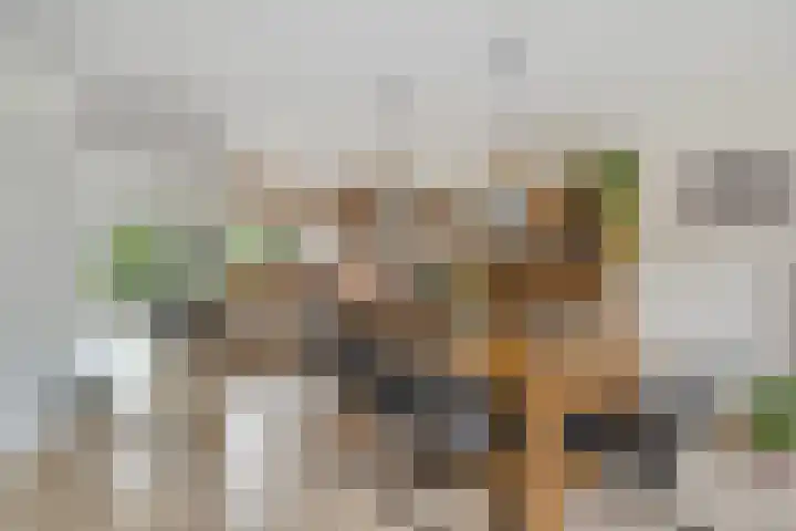 Woldeveld 8 Koog aan de Zaan thumbnail 12