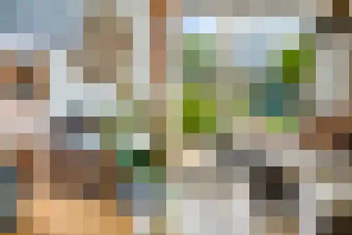 Woldeveld 8 Koog aan de Zaan thumbnail 14