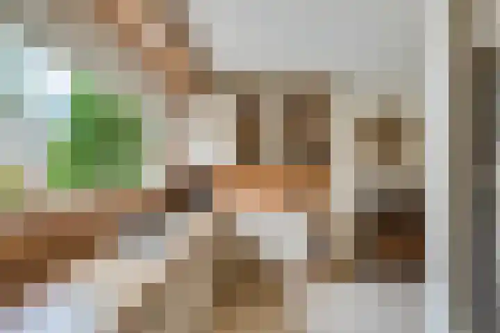 Woldeveld 8 Koog aan de Zaan thumbnail 16