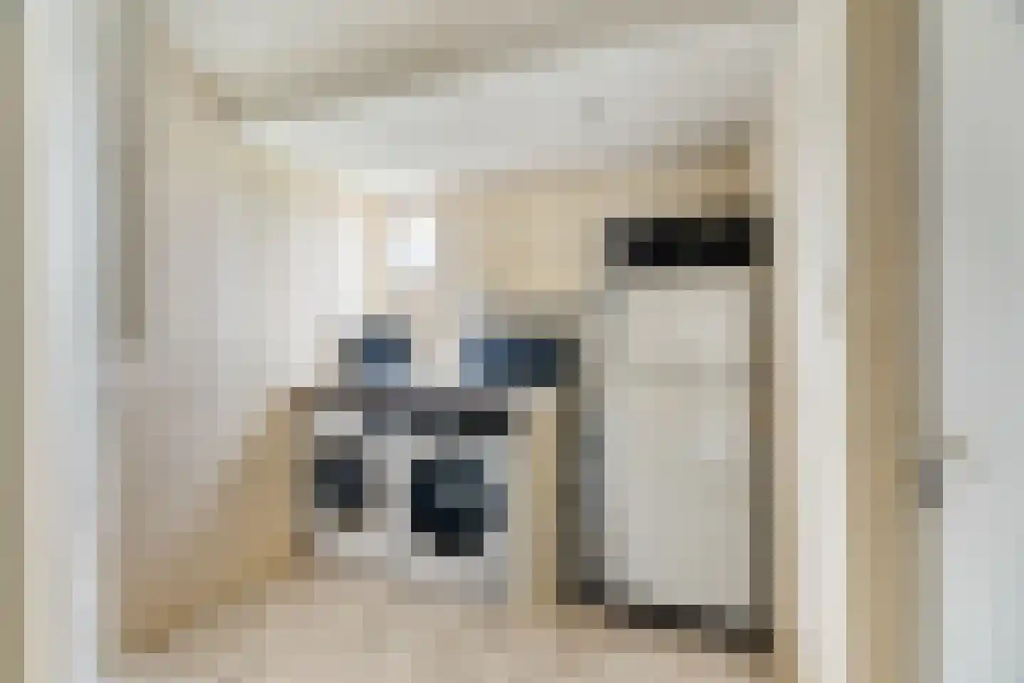 Woldeveld 8 Koog aan de Zaan thumbnail 22