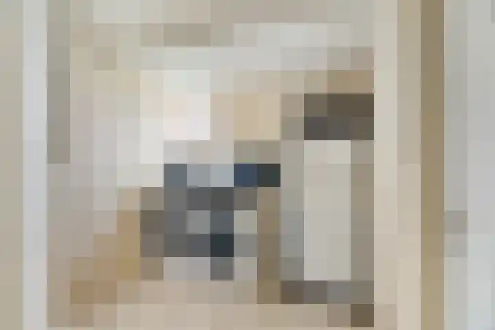 Woldeveld 8 Koog aan de Zaan thumbnail 22