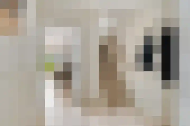 Woldeveld 8 Koog aan de Zaan thumbnail 23
