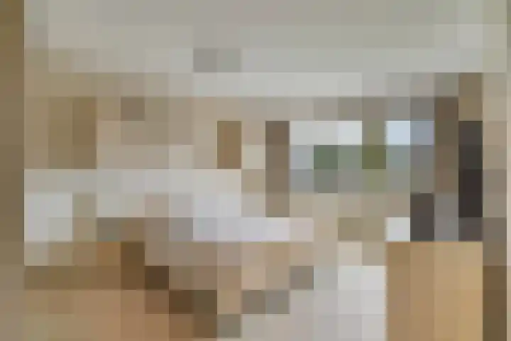 Woldeveld 8 Koog aan de Zaan thumbnail 24
