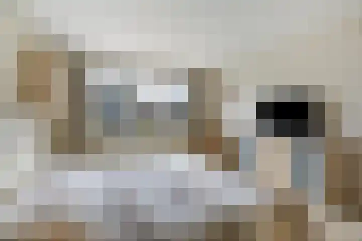 Woldeveld 8 Koog aan de Zaan thumbnail 26