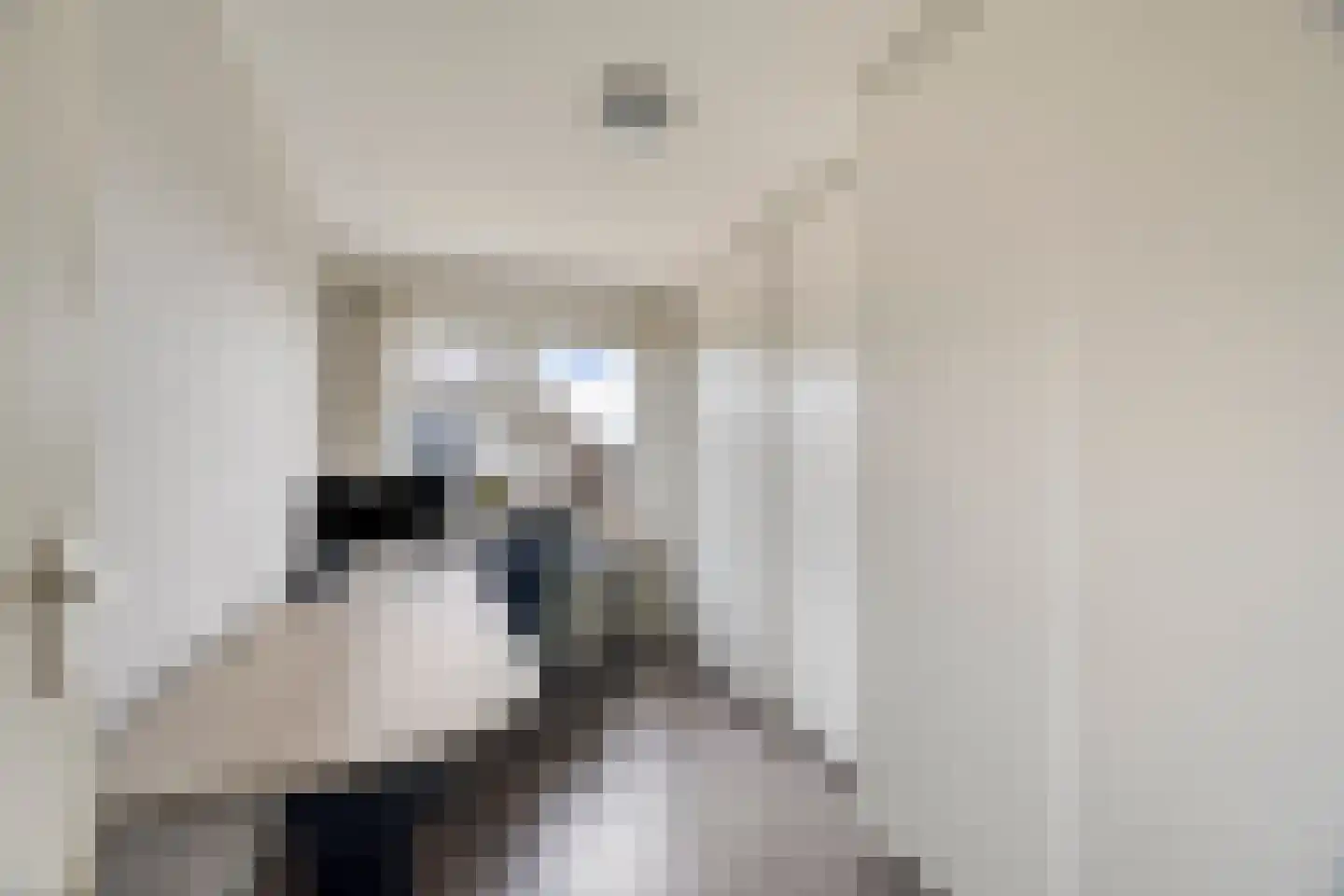 Woldeveld 8 Koog aan de Zaan thumbnail 30