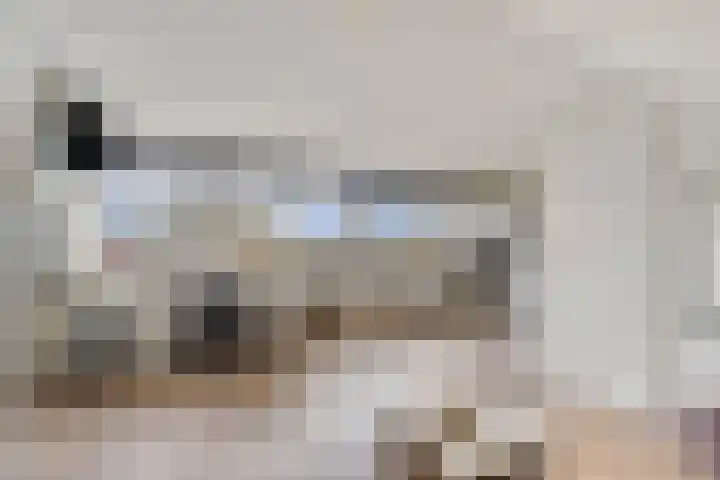 Woldeveld 8 Koog aan de Zaan thumbnail 37