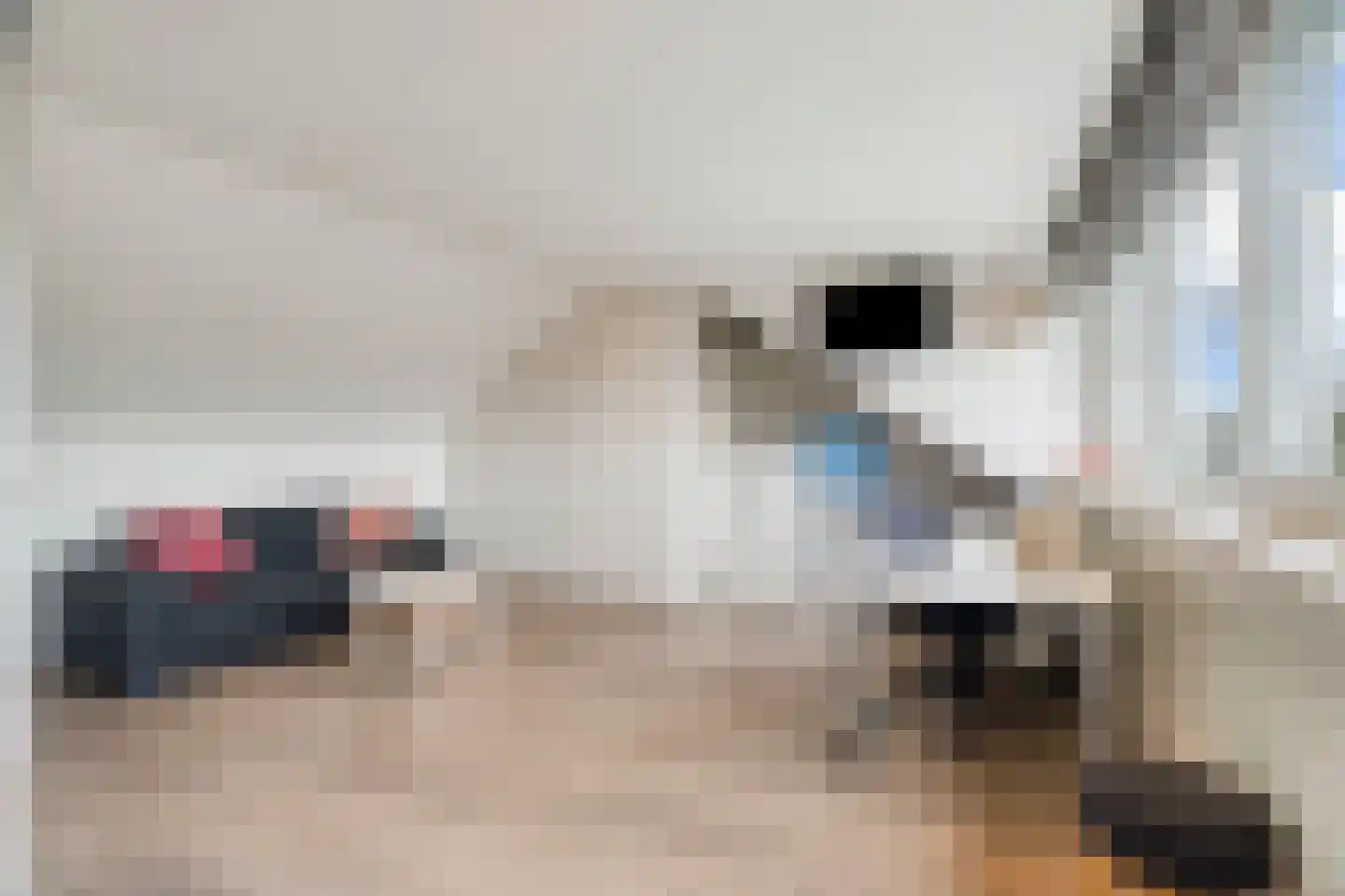Woldeveld 8 Koog aan de Zaan thumbnail 39
