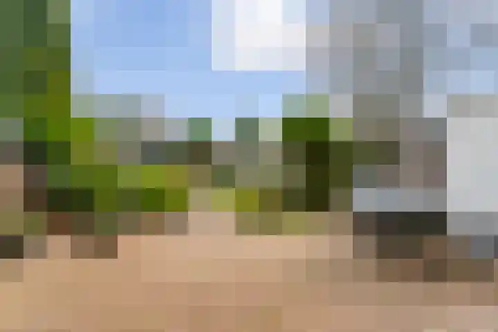 Woldeveld 8 Koog aan de Zaan thumbnail 42