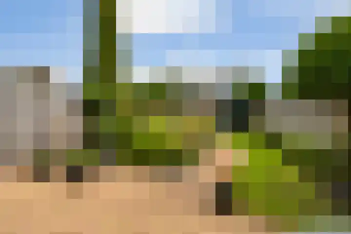 Woldeveld 8 Koog aan de Zaan thumbnail 43