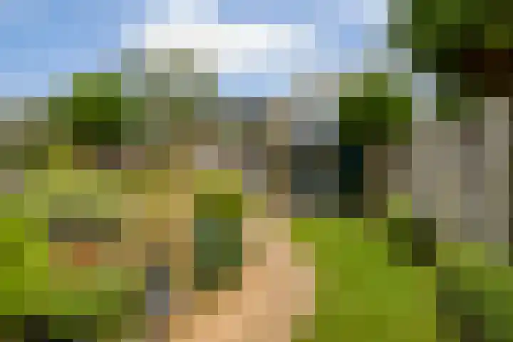 Woldeveld 8 Koog aan de Zaan thumbnail 44