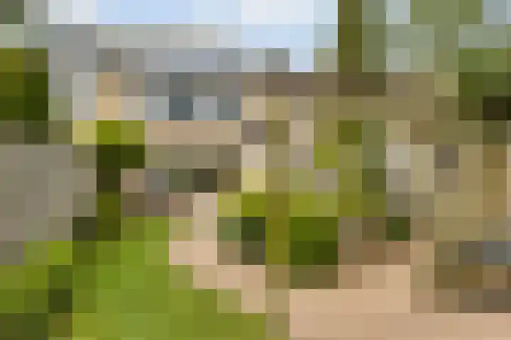Woldeveld 8 Koog aan de Zaan thumbnail 45