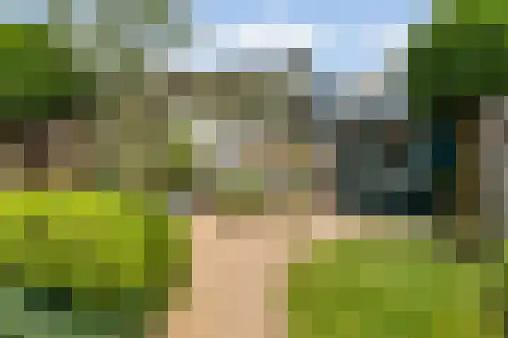 Woldeveld 8 Koog aan de Zaan thumbnail 46