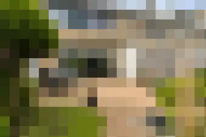 Woldeveld 8 Koog aan de Zaan thumbnail 47