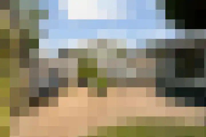 Woldeveld 8 Koog aan de Zaan thumbnail 49
