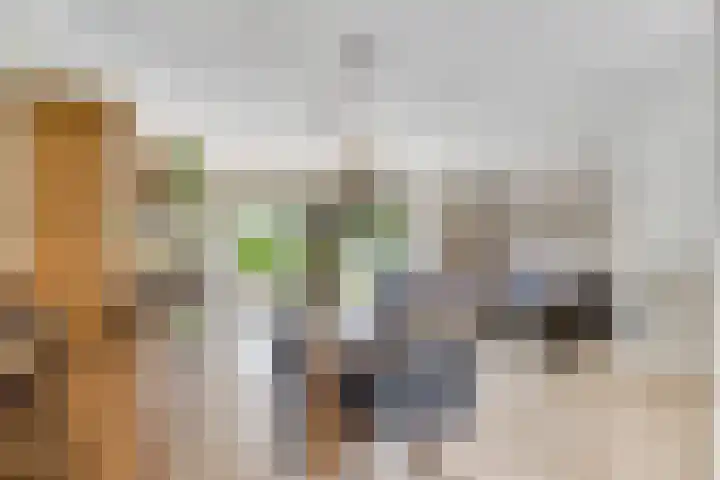 Woldeveld 8 Koog aan de Zaan thumbnail 5