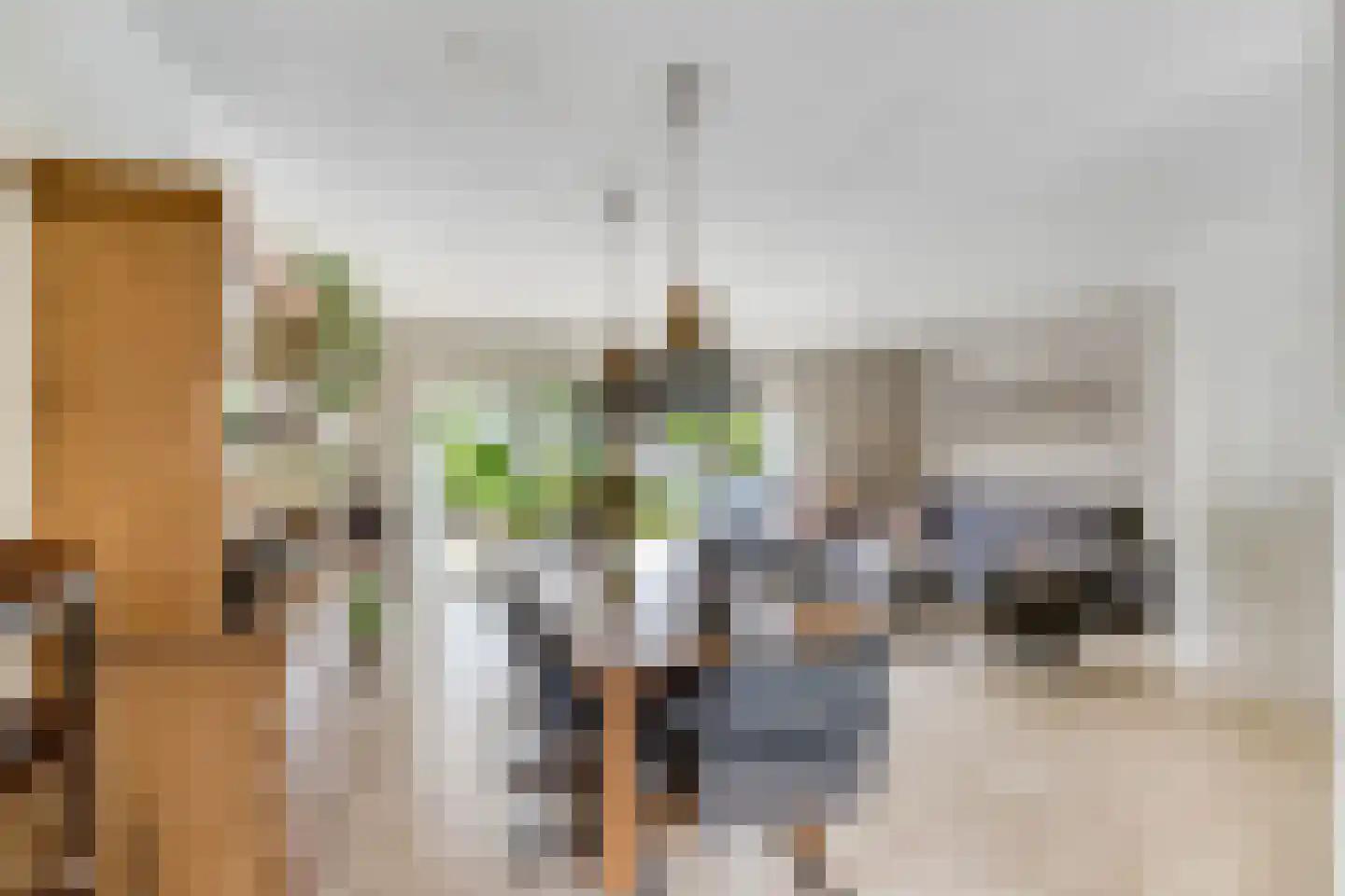 Woldeveld 8 Koog aan de Zaan thumbnail 5