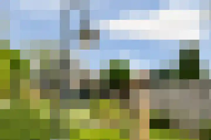Woldeveld 8 Koog aan de Zaan thumbnail 50