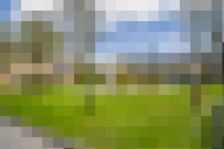 Woldeveld 8 Koog aan de Zaan thumbnail 59