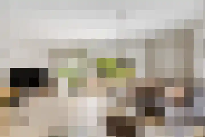 Woldeveld 8 Koog aan de Zaan thumbnail 6