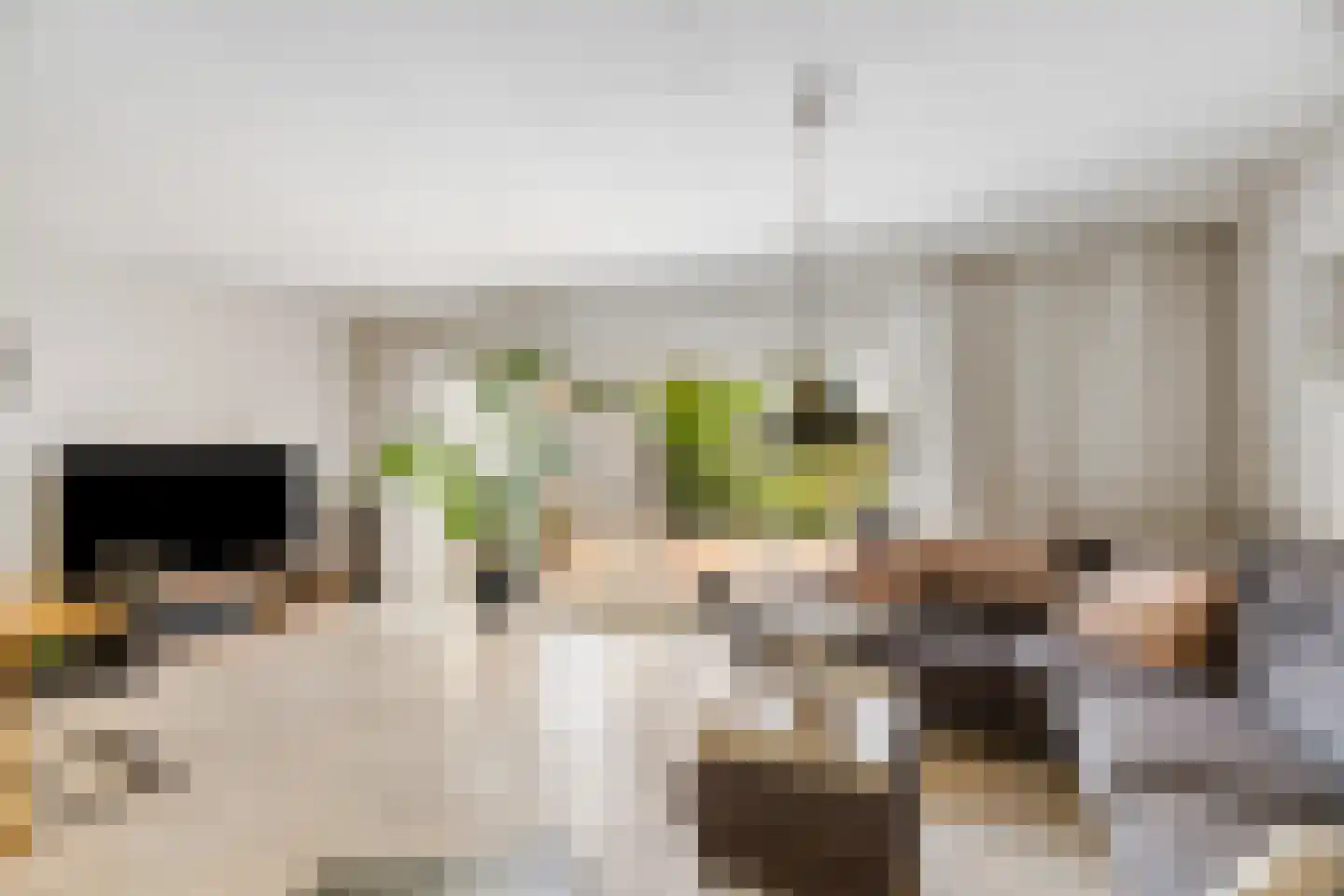 Woldeveld 8 Koog aan de Zaan thumbnail 6