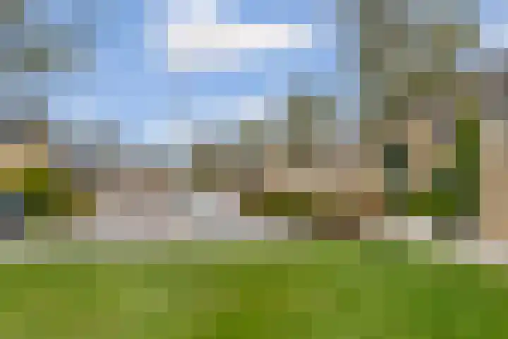 Woldeveld 8 Koog aan de Zaan thumbnail 60