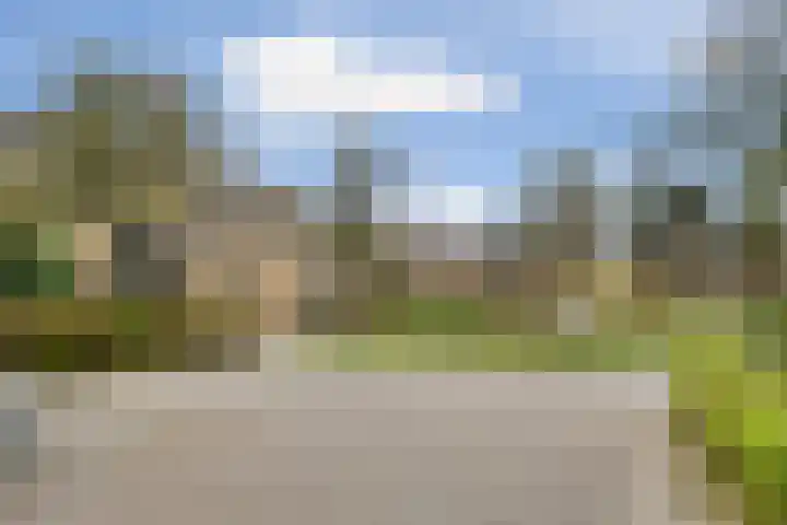 Woldeveld 8 Koog aan de Zaan thumbnail 61